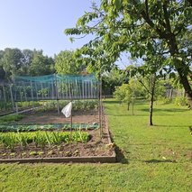 Čistilni servis Tanja - čistilne storitve, urejanje okolice - 4