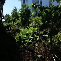 JE ČISTO Partner, vzdrževanje objektov, Miha Malenšek s.p. - odvoz materiala, čistilne storitve, urejanje okolice, hišni servis in popravila, visokotlačno čiščenje, električarske storitve, selitvene storitve - 13