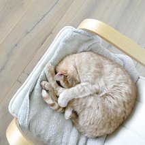 Parketi Kidrič Lega, Mladen Kidrič s.p. - parketarstvo, talne obloge - 6