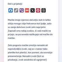 Pisanje besedil Anita Zupanc - pisanje besedil (copywriting) - 4