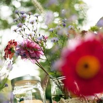 Preventivno - svetovalna dejavnost Pod milim nebom, Eva Župan s.p. - 10