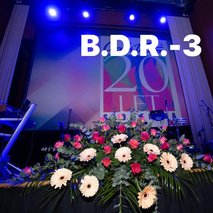 Prodaja cvetja B.D.R.-3 d.o.o. - cvetličarske storitve in dekoracija - 4