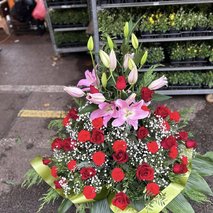 Prodaja cvetja B.D.R.-3 d.o.o. - cvetličarske storitve in dekoracija - 5