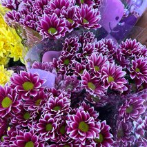 Prodaja cvetja B.D.R.-3 d.o.o. - cvetličarske storitve in dekoracija - 10