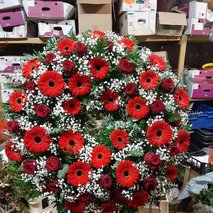 Prodaja cvetja B.D.R.-3 d.o.o. - cvetličarske storitve in dekoracija - 15