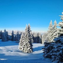 Ribniška koča - poročna lokacija, najem prostora za dogodke, catering hrane in pijače, pogostitev za dogodke ali zabave, wellness, team building dogodki, namestitev - 50