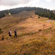 Ribniška koča - poročna lokacija, najem prostora za dogodke, catering hrane in pijače, pogostitev za dogodke ali zabave, wellness, team building dogodki, namestitev - 24