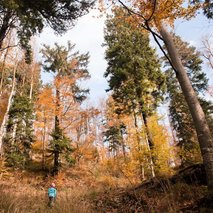 Skytli fotografiranje, Erik Čuk s.p. - 23