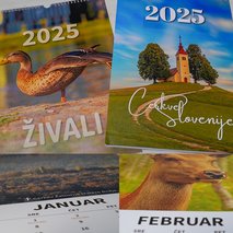 SMART GROW - računalništvo in it storitve, fotografiranje, oglaševalske storitve in marketing, tiskarske storitve, grafično oblikovanje, snemanje poroke, video produkcija - 2