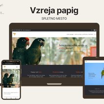 spletno oblikovanje in razvoj, Urban Stražar s.p. - 3