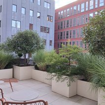 Terrapevt d.o.o. - polaganje tlakovcev, vrtnarske storitve, urejanje okolice - 6