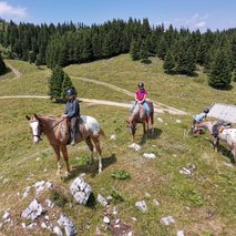 Turistična Kmetija Spodnji Goltnik - najem prostora za dogodke, pogostitev za dogodke ali zabave, namestitev - 3