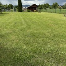 Urejanje okolice, Žan Vuzem s.p. - vrtnarske storitve, urejanje okolice, polaganje tlakovcev, izkop gradbene jame, prevoz blaga, gozdarstvo, čistilne storitve - 6