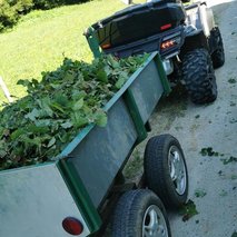 Urejanje okolice - 6