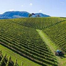 Vinska klet Zlati grič - najem prostora za dogodke, catering hrane in pijače, pogostitev za dogodke ali zabave, team building dogodki, poročna lokacija - 19