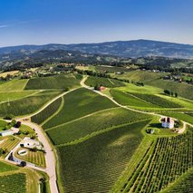Vinska klet Zlati grič - najem prostora za dogodke, catering hrane in pijače, pogostitev za dogodke ali zabave, team building dogodki, poročna lokacija - 18