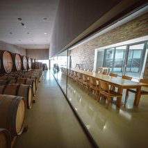 Vinska klet Zlati grič - najem prostora za dogodke, catering hrane in pijače, pogostitev za dogodke ali zabave, team building dogodki, poročna lokacija - 22