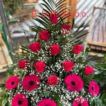 Prodaja cvetja B.D.R.-3 d.o.o. - cvetličarske storitve in dekoracija - 2