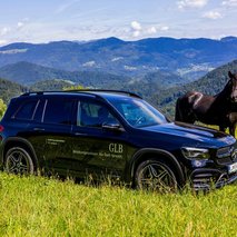 WILDFRAME, Jurij Vodušek s.p. - fotografiranje, razvoj in programiranje, računalništvo in it storitve, video produkcija - 6