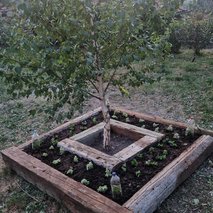Woodscribed Žan Uršič s.p. - hišni servis in popravila, ograje, urejanje okolice, vrtnarske storitve, mizarstvo, talne obloge, gozdarstvo, polaganje laminata - 12