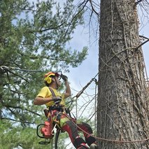 Woodscribed Žan Uršič s.p. - hišni servis in popravila, ograje, urejanje okolice, vrtnarske storitve, mizarstvo, talne obloge, gozdarstvo, polaganje laminata - 2