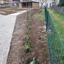 Woodscribed Žan Uršič s.p. - hišni servis in popravila, ograje, urejanje okolice, vrtnarske storitve, mizarstvo, talne obloge, gozdarstvo, polaganje laminata - 9