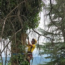 Woodscribed Žan Uršič s.p. - hišni servis in popravila, ograje, urejanje okolice, vrtnarske storitve, mizarstvo, talne obloge, gozdarstvo, polaganje laminata - 8