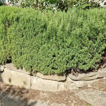 Woodscribed Žan Uršič s.p. - hišni servis in popravila, ograje, urejanje okolice, vrtnarske storitve, mizarstvo, talne obloge, gozdarstvo, polaganje laminata - 11