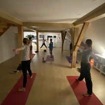 Yoga-To-Go, Gabrijela Sever Klasinc s.p. - 2