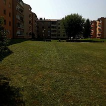 ZeleNarava, urejanje okolja, Nikola Živaljević s.p. - vrtnarske storitve, odvoz materiala, selitvene storitve, čistilne storitve, urejanje okolice - 11