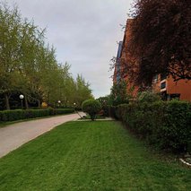 ZeleNarava, urejanje okolja, Nikola Živaljević s.p. - vrtnarske storitve, odvoz materiala, selitvene storitve, čistilne storitve, urejanje okolice - 1