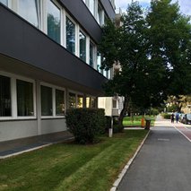 ZeleNarava, urejanje okolja, Nikola Živaljević s.p. - vrtnarske storitve, odvoz materiala, selitvene storitve, čistilne storitve, urejanje okolice - 3