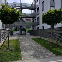 ZeleNarava, urejanje okolja, Nikola Živaljević s.p. - vrtnarske storitve, odvoz materiala, selitvene storitve, čistilne storitve, urejanje okolice - 6