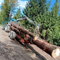 Gozdarstvo Joco, Jože Kermavnar s.p. - razrez lesa, žaga, gozdarstvo - 5