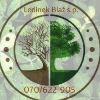 Gozdarstvo Ledinek Blaž Ledinek, Posek In Spravilo Lesa