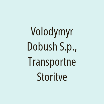 Volodymyr Dobush S.p., Transportne Storitve