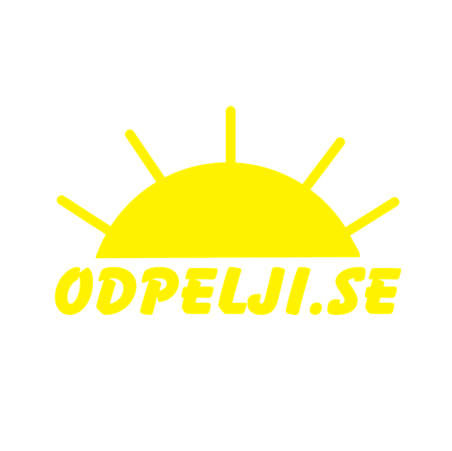 Odpelji.se Damjana Račič s.p.