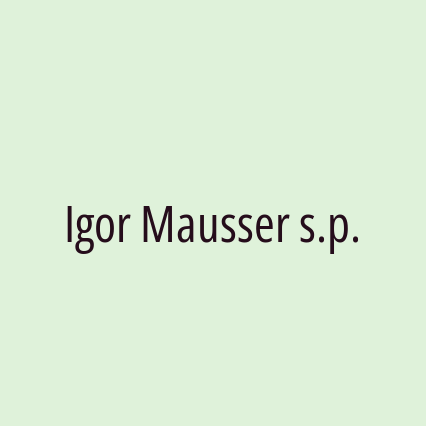 Igor Mausser s.p. - Logotip