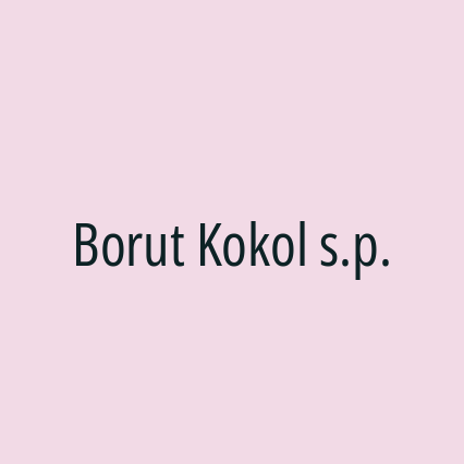 Borut Kokol s.p.
