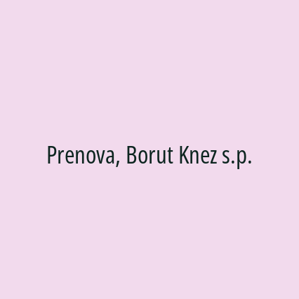 Prenova, Borut Knez s.p.