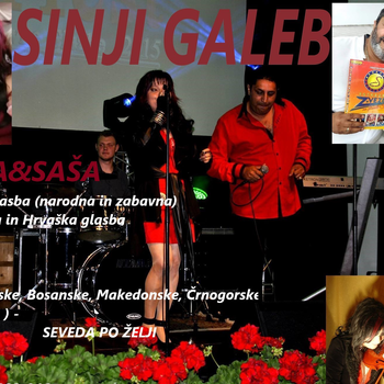 Sinji Galeb