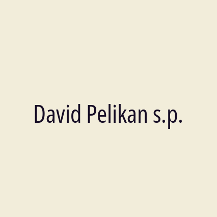 David Pelikan s.p.