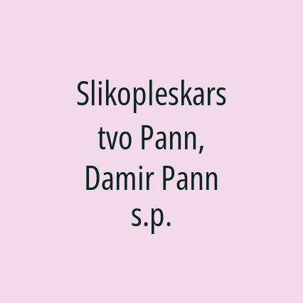 Slikopleskarstvo Pann, Damir Pann s.p.