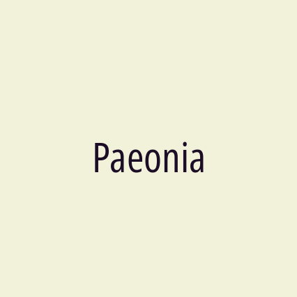 Paeonia