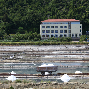 Hotel Oleander