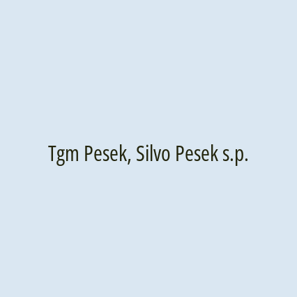 Tgm Pesek, Silvo Pesek s.p.