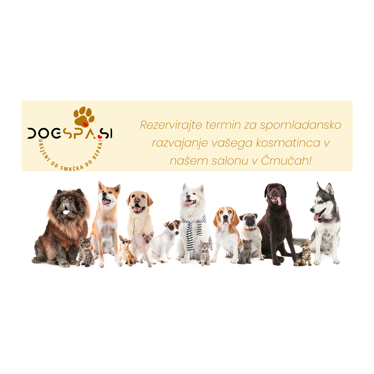 Pasji salon Dogspa.si