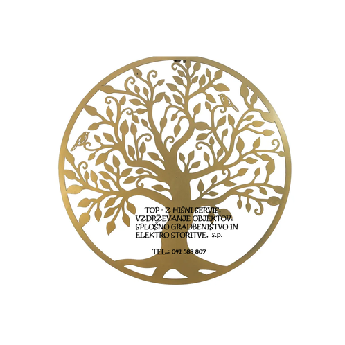 TOP-Z HIŠNI SERVIS, vzdrževanje objektov,  splošno gradbeništvo in elektro storitve