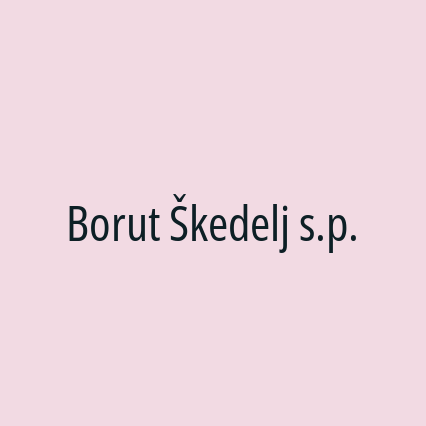 Borut Škedelj s.p.