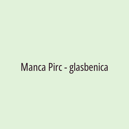 Manca Pirc - glasbenica